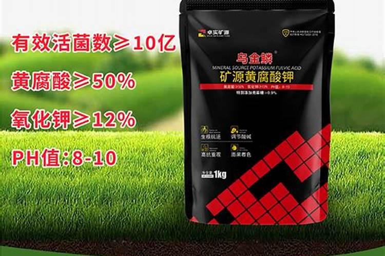 果树最佳施肥时间表