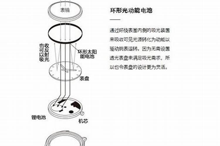 银杏树怎样施肥