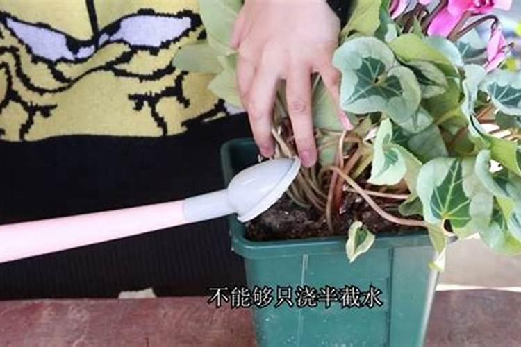 氮肥施用方法及注意事项