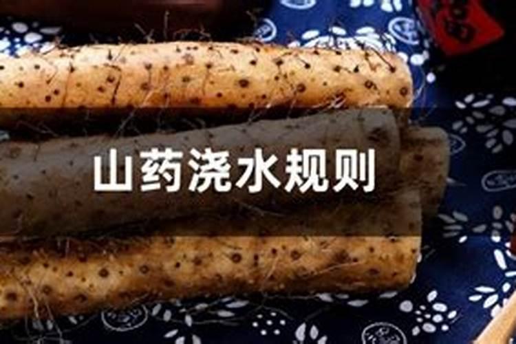 种植山药豆洗山药苗用追肥吗