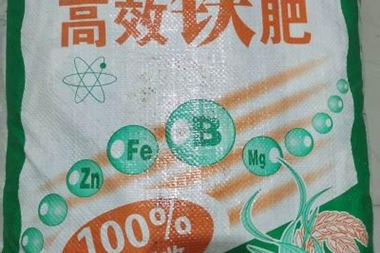 铁线蕨要用什么肥