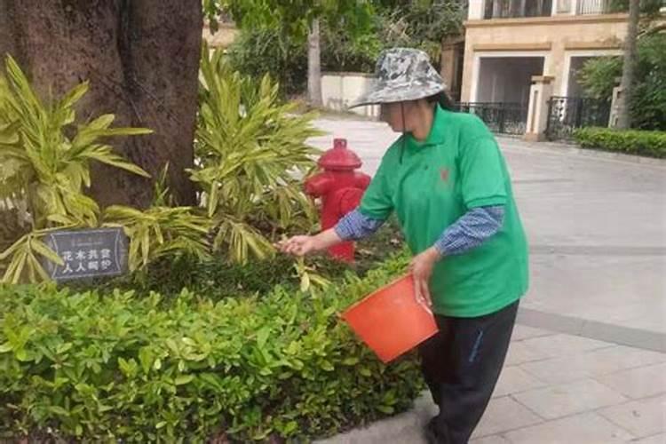 用白糖和化肥能做火箭弹燃料吗？