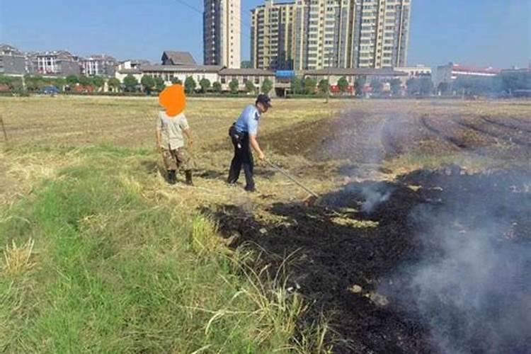 秸秆还田的土地用什么底肥好