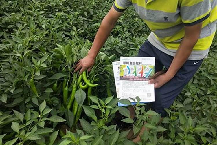 可以用水粉颜料代替水彩颜料吗