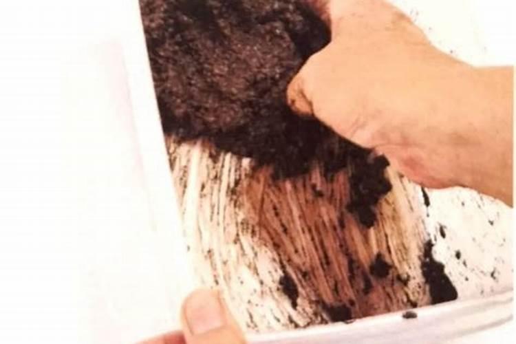 阳台种菜季节和品种之间有什么关系？阳台种菜到底该怎么做呢？