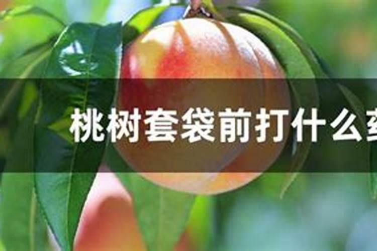 套袋前如何防止袋内病虫害危害袋内果实？