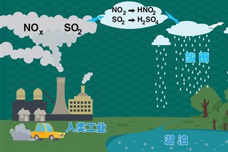 用矿泉水自来水浇花好吗