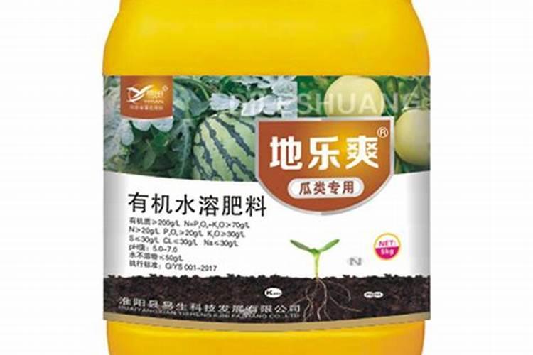 番茄什么时候冲钙肥好 注意事项有哪些