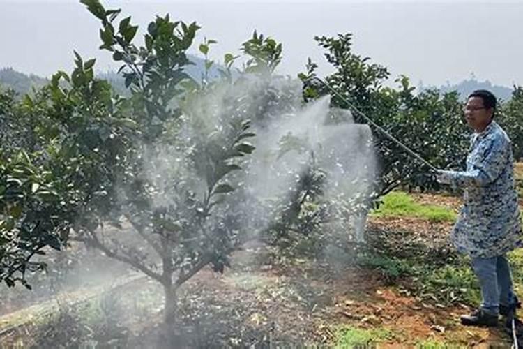 钙肥主要成分是氧化钙,我直接用石灰不行吗？