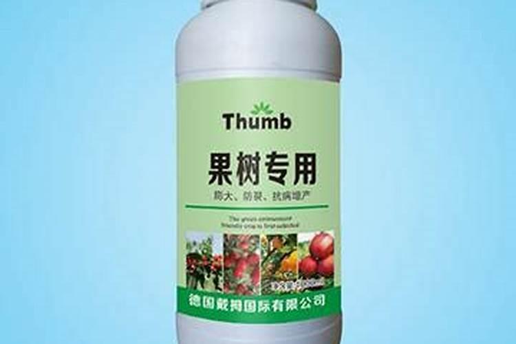 月季花施什么肥料较好