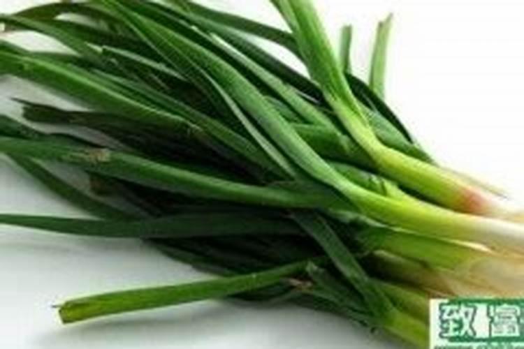种红蒜要用叶面肥,种红蒜如何施叶面肥？