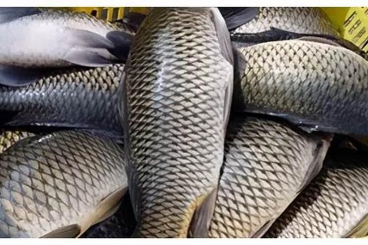 硼肥的用量、作用及使用方法