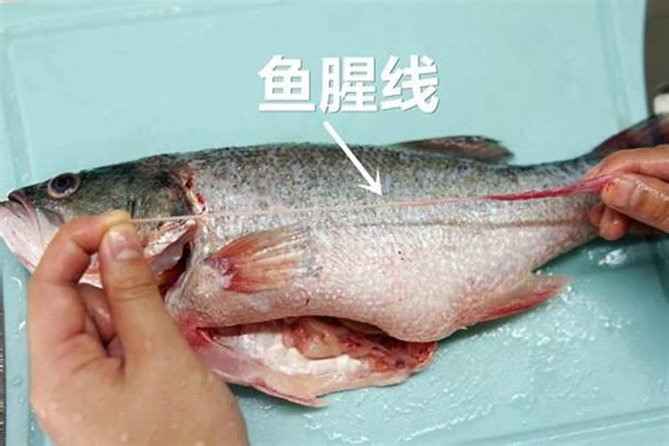 鱼腥水是什么？