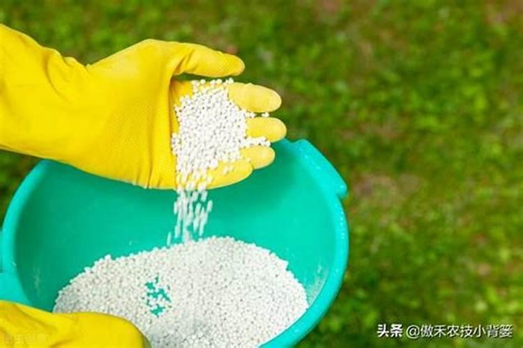 叶面肥含铜能和复硝酚钠混和喷施