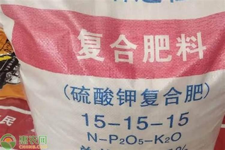 秧苗载过以后枯萎死是什么原因