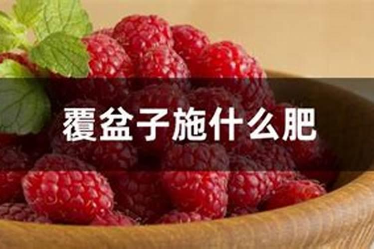 宿州适合种植什么