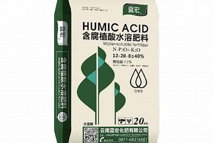 西红柿的种植与预防病虫害