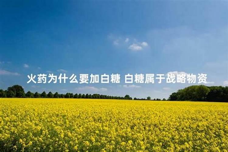 种玉米最好的复合肥