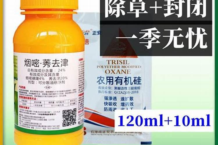 玉米如何使用叶面肥