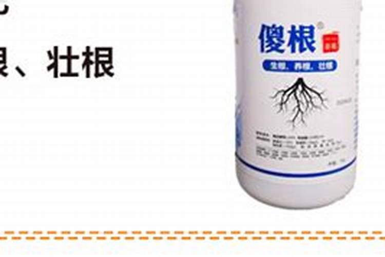 黑龙江省水稻壮秧剂哪个品种最好