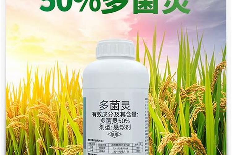 0.15%芸苔素作用特点