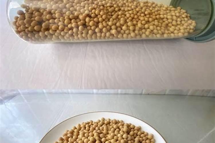 绿萝施肥需施什么肥料