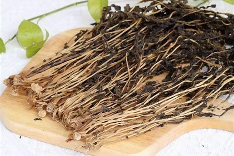 家里养花施什么肥最好 磷肥的作用