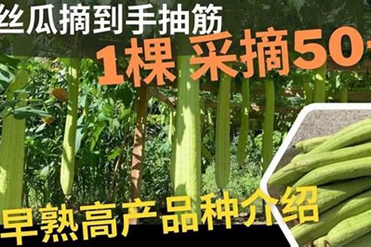 黄豆喜欢什么肥料