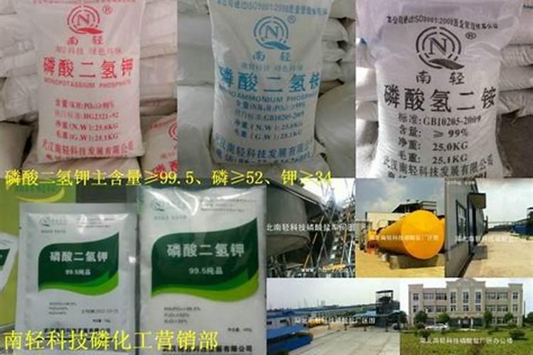 爬地矮珍珠种不活怎么办