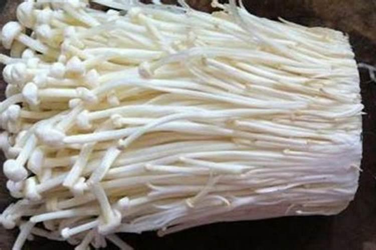 菜仔杆弄碎直接埋在泥土里当肥料可以吗