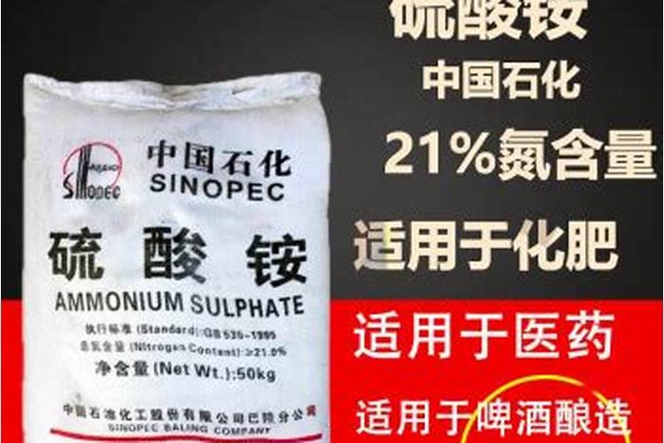 罗汉松矮化增粗,追施复合肥并喷洒矮壮素