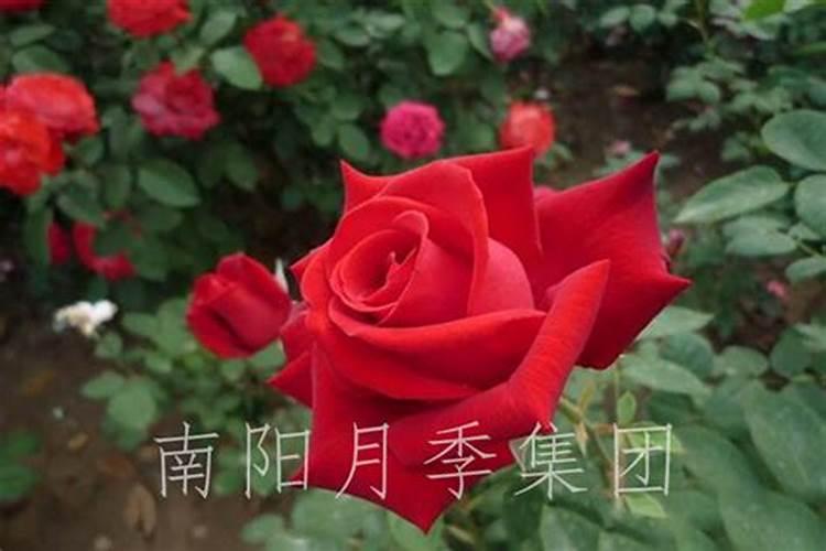 泸州到泸县天兴镇乘车线路