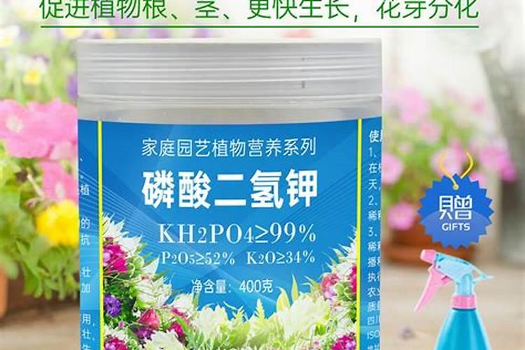 什么水果最补钾