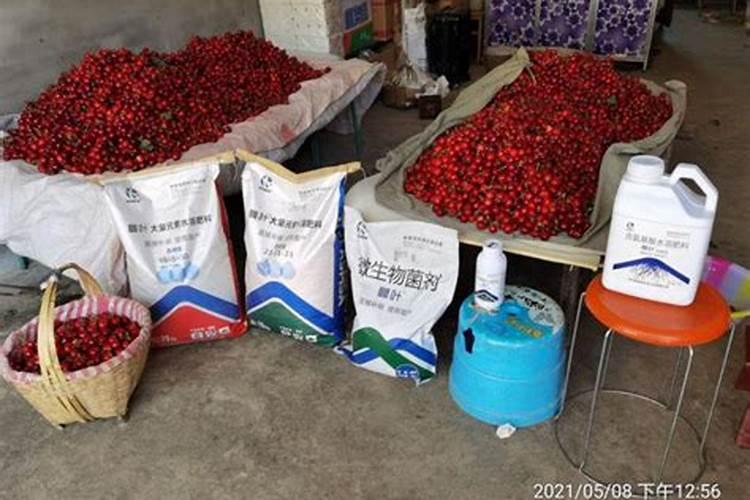 芹菜用什么肥料长得快