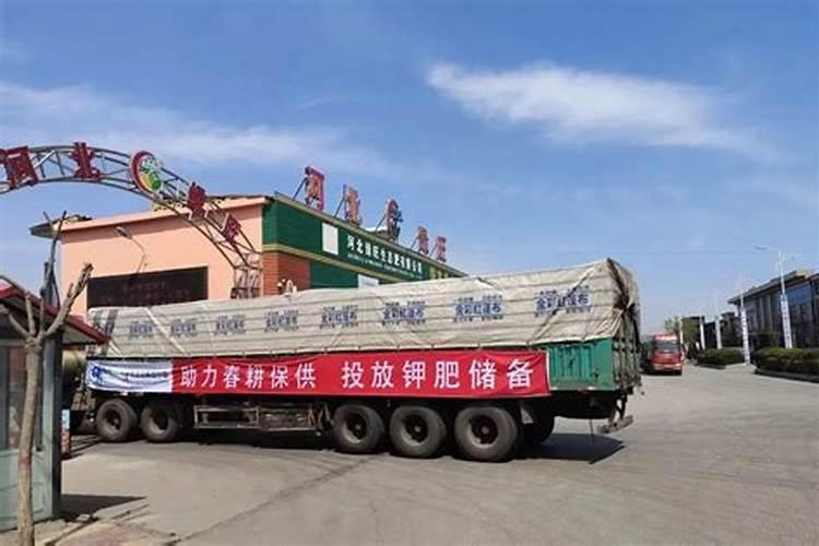 叶子发黄是缺什么肥料