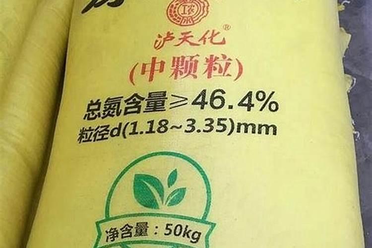 镁肥有什么作用呢？
