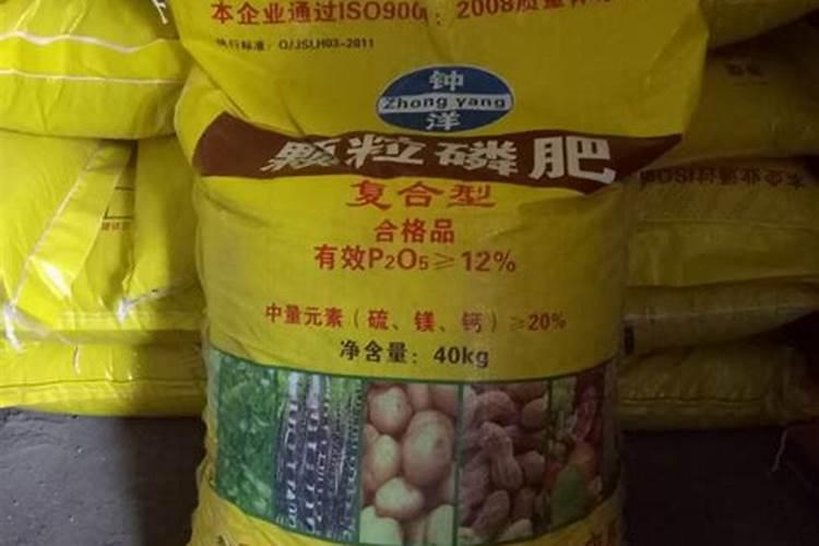 水与石灰水反应现象