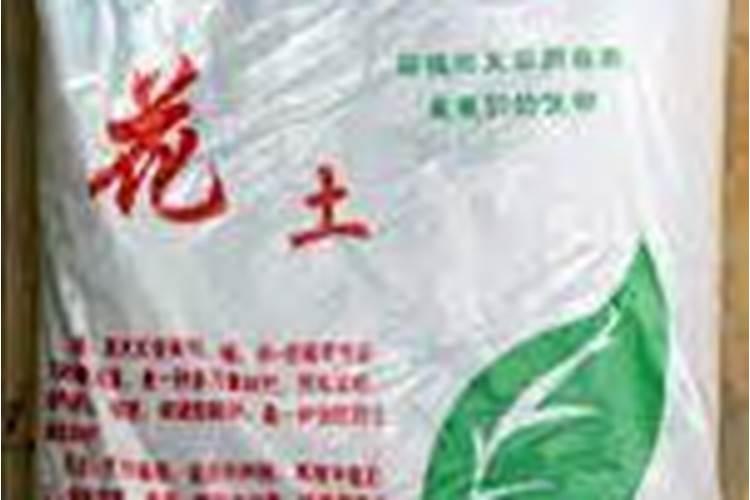 人体缺钾是什么引起的
