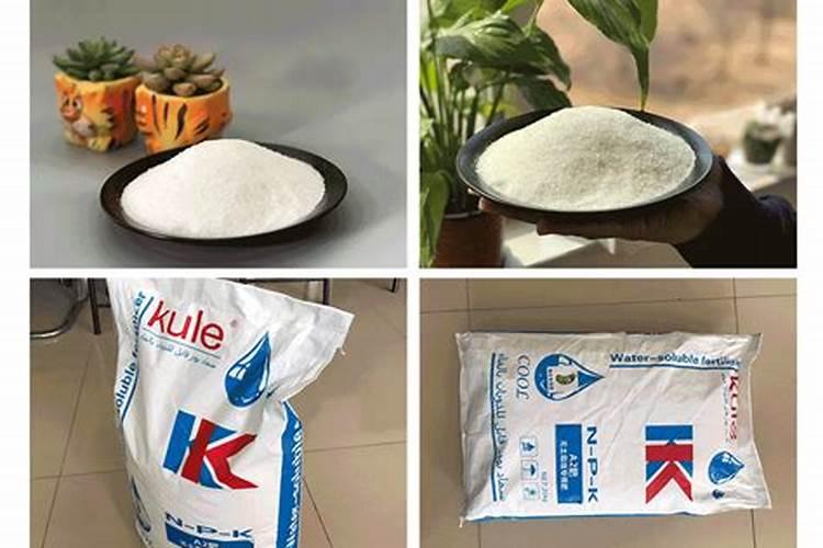 ﻿蓖麻子的功效与作用蓖麻子的药用价值