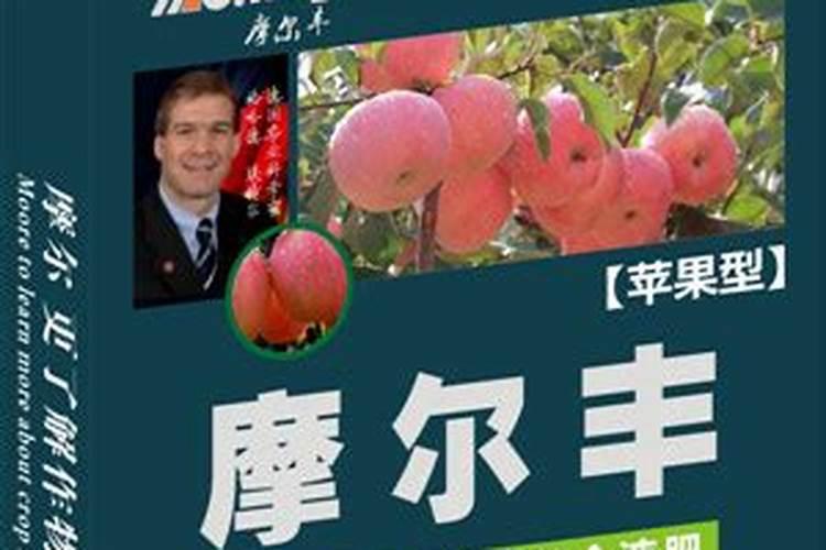 苹果树能打芸乐收叶面肥吗？