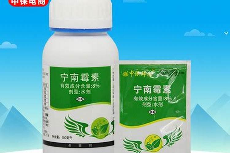 李子怎样保花保果(新鲜李子怎样保存)