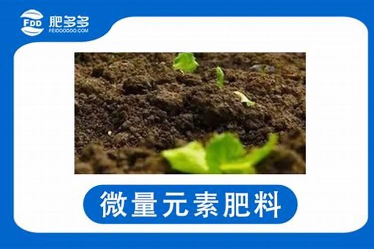 硼砂施多了果树有害吗