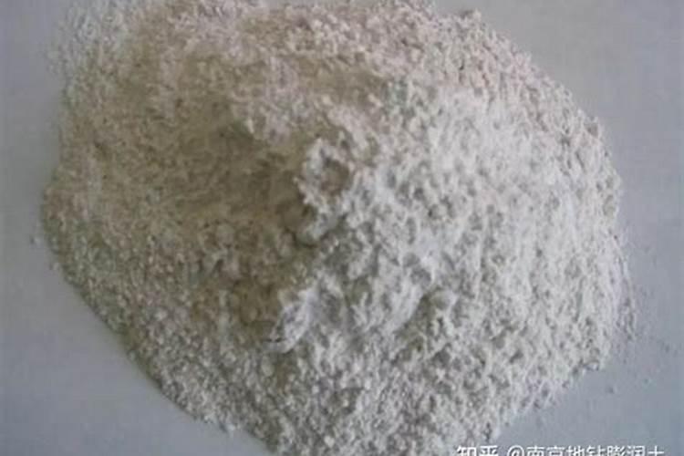 春天月季花怎么施肥