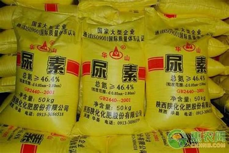 尿素怎么施肥效果好