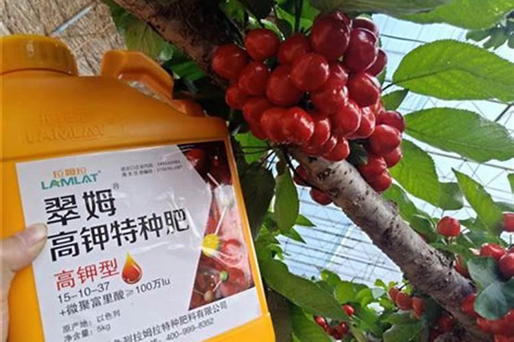 氮磷钾肥有哪些 适合什么花