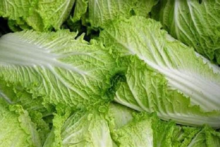 黄豆喜欢什么肥料