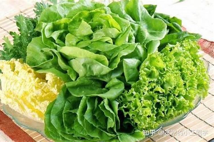 尿真的能让青菜长的快一点吗