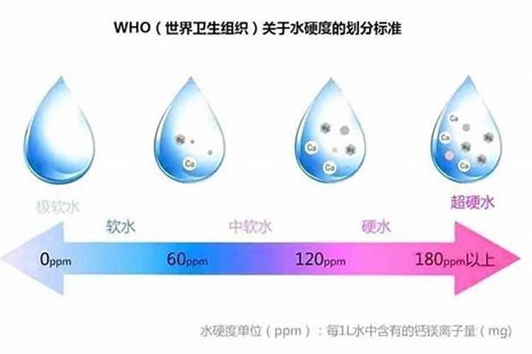 常见的浇花的钾肥和磷肥是什么