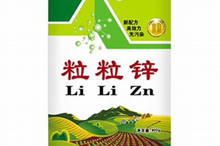 君子兰种子怎样育苗