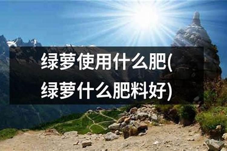 莴苣用什么肥料变高变粗 附莴苣的种植方法